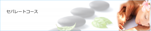 ロミロミセパレートコース